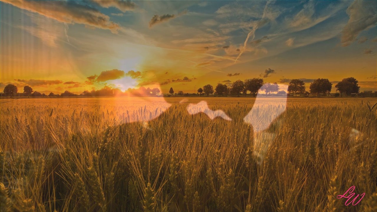 TiBette ||| Hans Zimmer - Now we are free