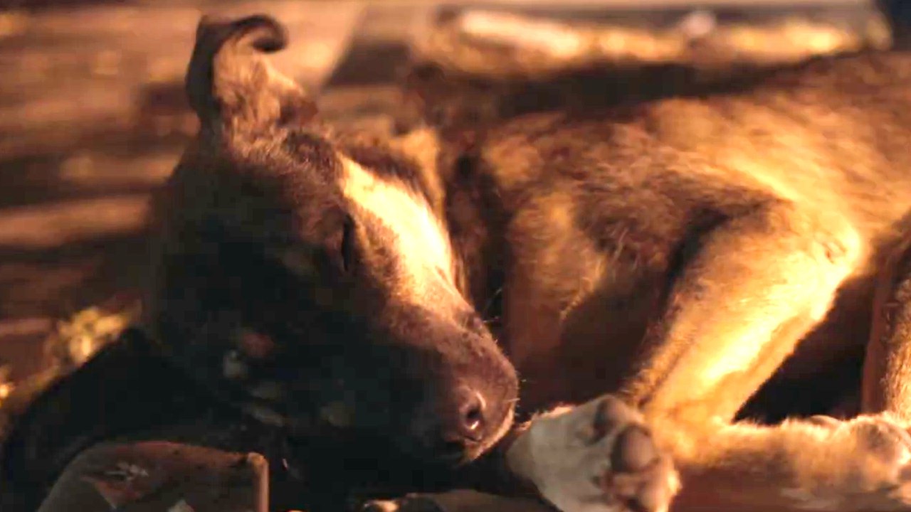 Space Dogs - Trailer (Deutsche UT) HD