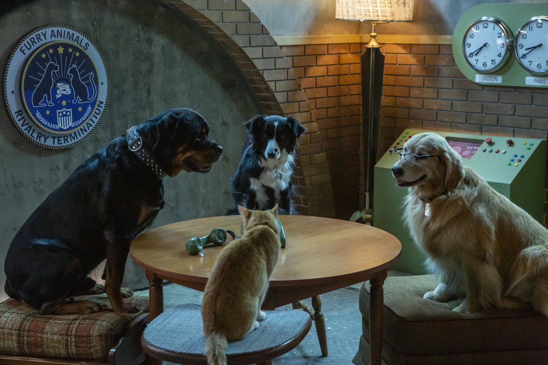 Cats & Dogs 3 - Trailer (Deutsch) HD