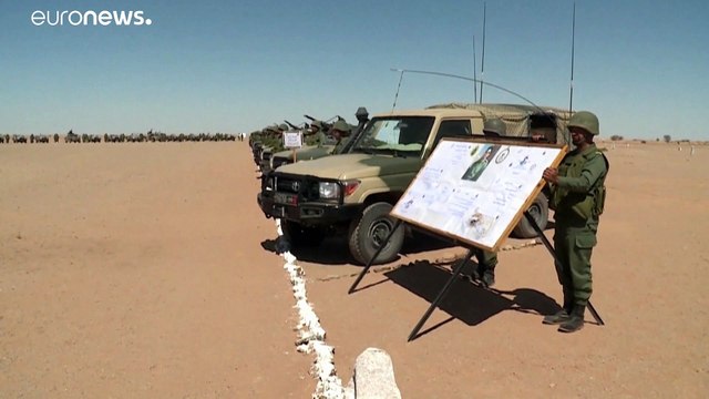 Westsahara: Unabhängigkeitsbewegung Polisario rüstet sich für bewaffneten Kampf