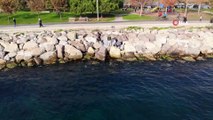 Kadıköy’de Deniz Sularının Çekilmesi Paniğe Neden Olmuştu, Suların Gelgitten Çekildiği Ortaya Çıktı