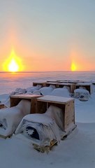 Arctic Sun Dog Creates Beautiful Sunset Illusion