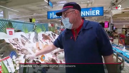Agriculture : des farines d’insectes pour nourrir certains animaux d’élevage