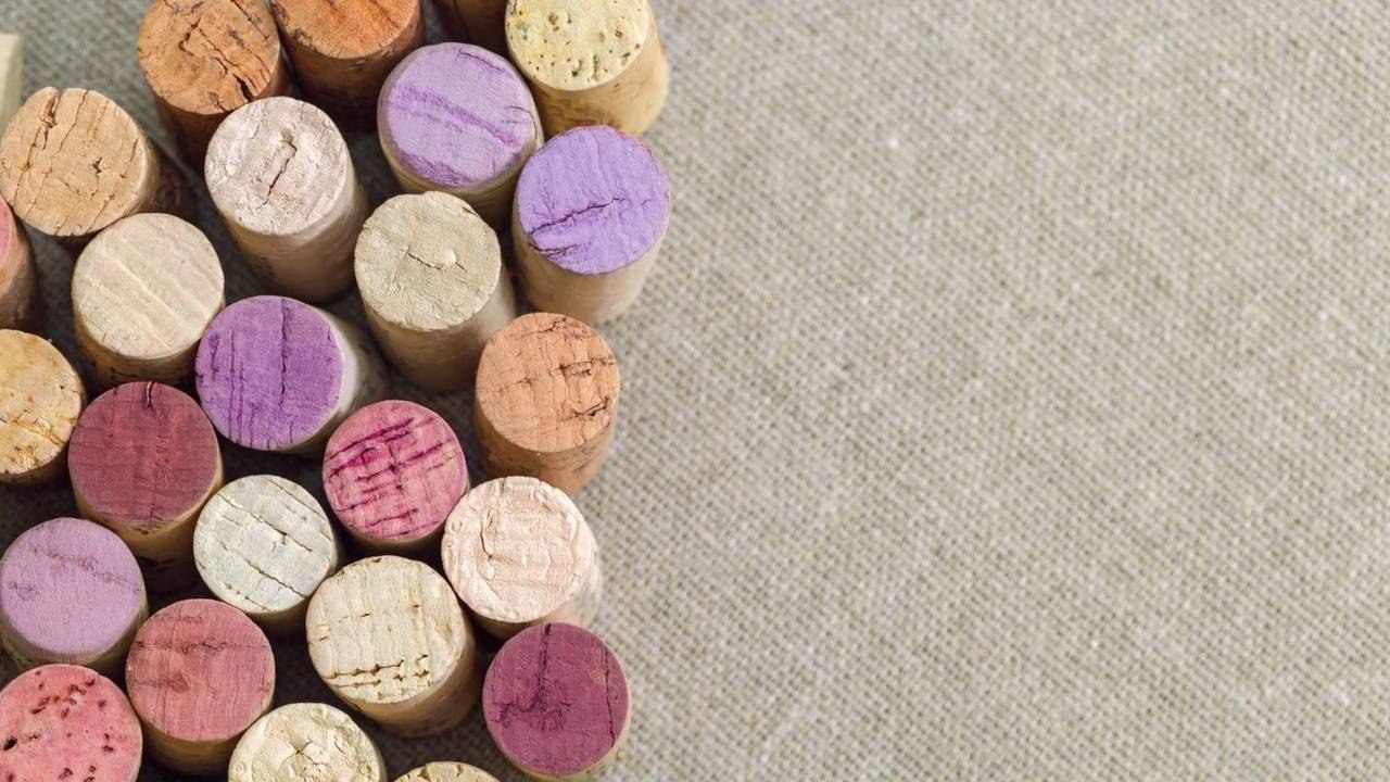 Affordable Organic Wines to Drink All Year Long