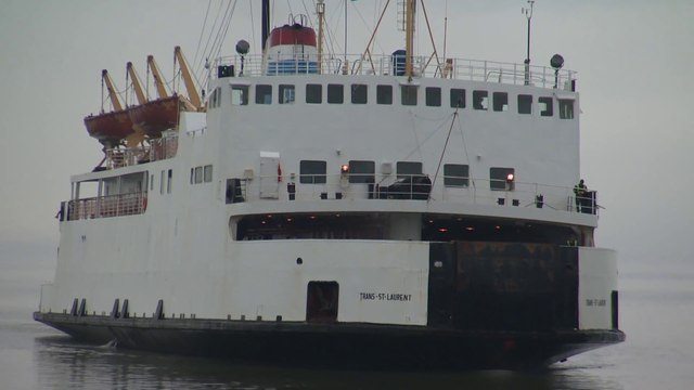 Avenir de la traverse : Denis Tardif demande des études à la STQ