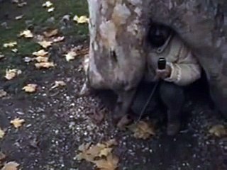 Pervan kao ratni reporter