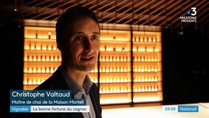 Vignoble : les producteurs de cognac résistent à la crise sanitaire