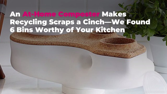 An At-Home Composter Makes Recycling Scraps a Cinch—We Found 6 Bins Worthy of Your Kitchen