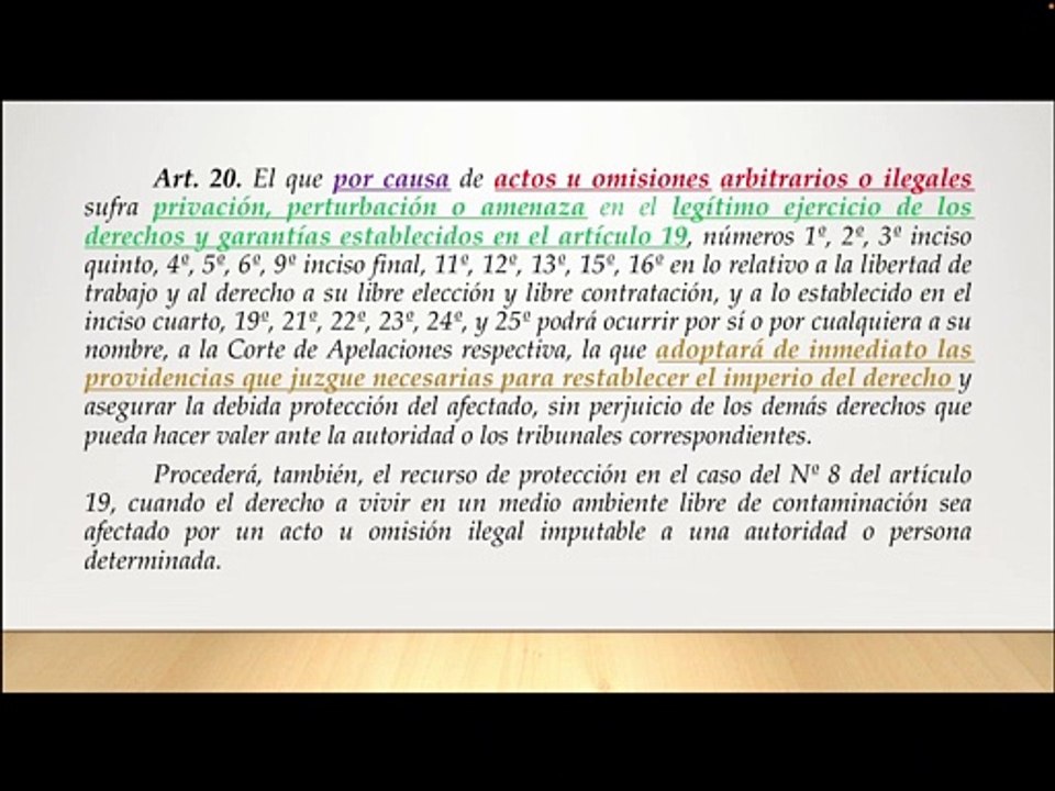 Recurso de protección, Primera parte