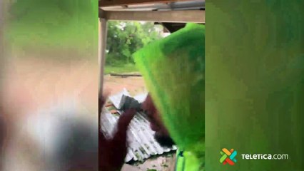tn7-Iota toca tierra en el Caribe Norte de Nicaragua como huracán categoría5-161120