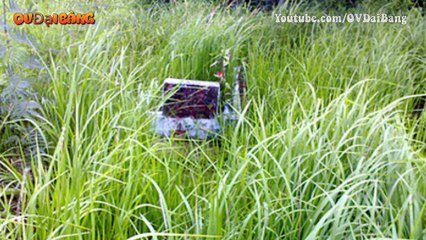 Bí mật trường bắn Long Bình, Nơi tử hình những đại ca GH cộm cán nhất Việt Nam