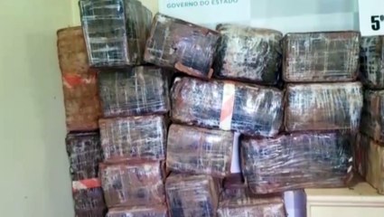 Polícia Militar apreende mais de meia tonelada de maconha em Santa Tereza