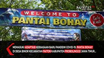 Harmoni Surga Bawah Laut Pantai Paiton