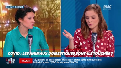 « Allô Marie ? » : Les animaux domestiques sont-ils touchés par le Covid ? - 17/11