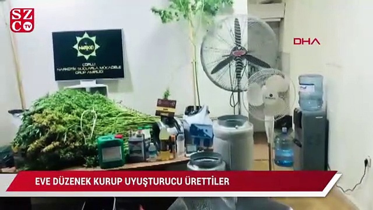 Eve özel düzenek kurup uyuşturucu yetiştirdiler