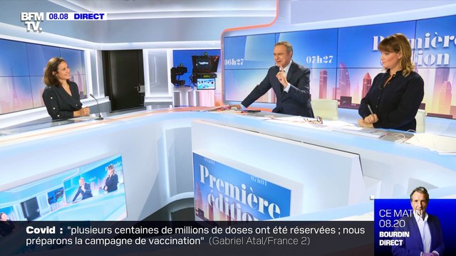 Un groupe de calamars à longs tentacules ont été observés en Australie - 17/11