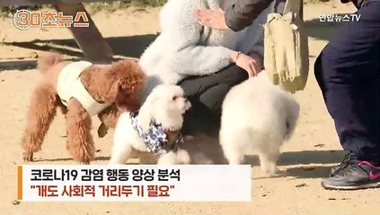 [30초뉴스] 개에게 산책은 필수인데…감염률 더 높다니