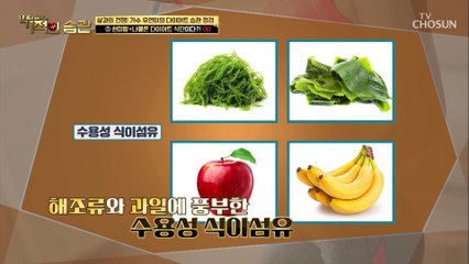 ‘수용성vs불용성’ 식이섬유에도 두 종류가 있다!?