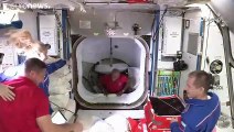 Missão SpaceX chega à Estação Espacial Internacional