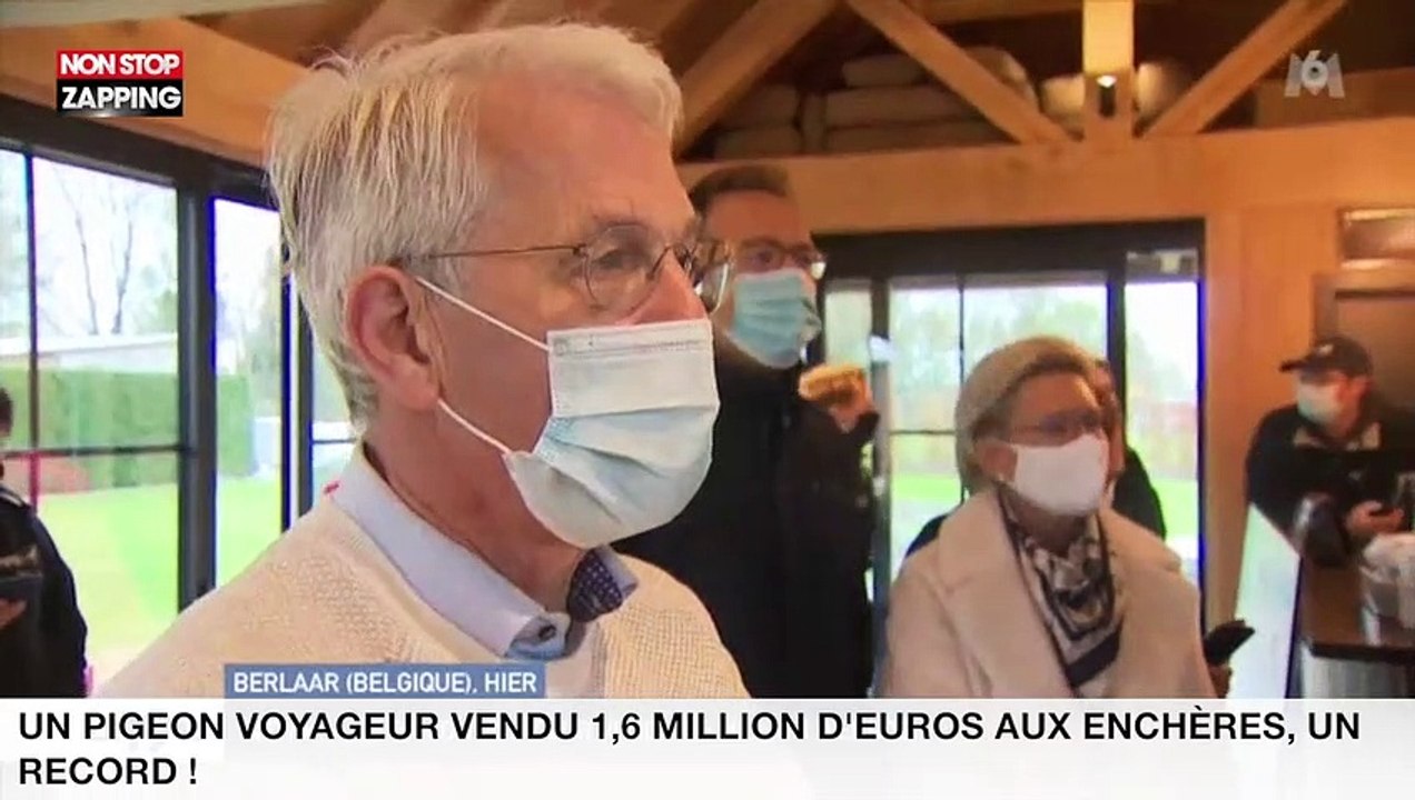 Un pigeon voyageur vendu 1,6 million d’euros au...