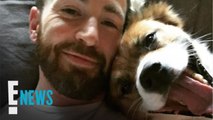 Chris Evans & Aly Raisman's Adorable Puppy Playdate
