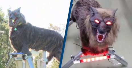 Japanese City Uses ‘Monster Wolf’ to Scare Off Wild Bears