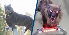 Japanese City Uses ‘Monster Wolf’ to Scare Off Wild Bears