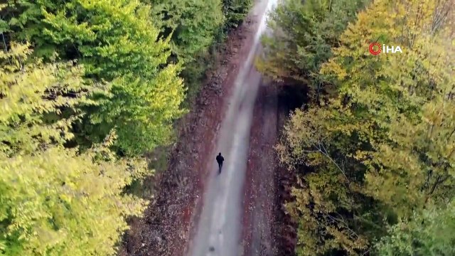 Zonguldak ormanlarında sonbahar güzelliği