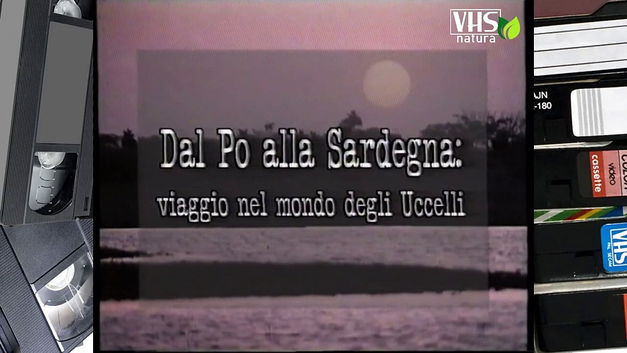 DAL PO ALLA SARDEGNA UN VIAGGIO NEL MONDO DEGLI UCCELLI