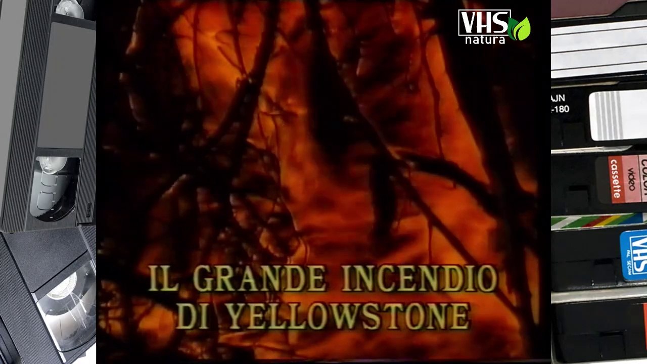 IL GRANDE INCENDIO DI YELLOWSTONE