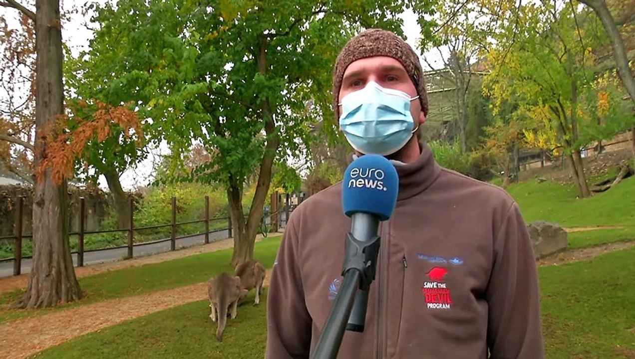 Hunger im Lockdown: Prager Zoo sucht Futterspender