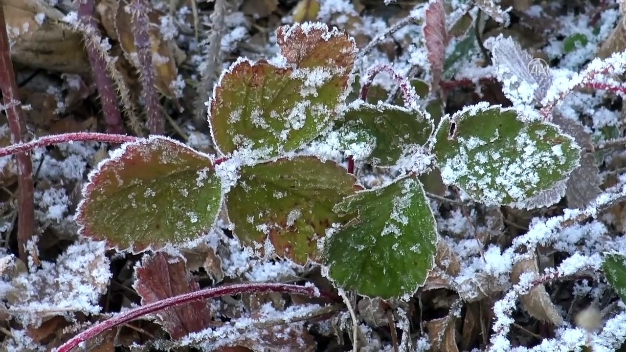 KARS - Kars'ta hava sıcaklığı sıfırın altında