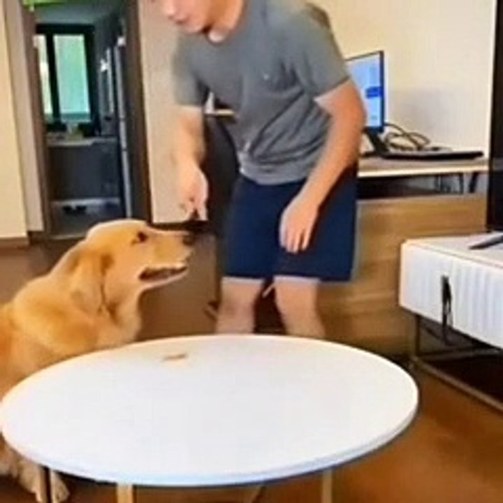 Un miracle de la vie très amusante