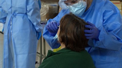 La pandemia suma 535.000 casos y supera los 55 millones de contagios en todo el mundo