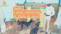 Burkina Faso: Paulin, le jeune commerçant de chiens de races