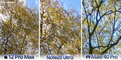 iPhone 12 Pro Max vs Samsung Note 20 Ultra _ Huawei Mate 40 Pro Camera Test Comparison.