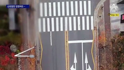 5월 사고 후 횡단보도·과속방지턱만…신호등 설치 ‘거절’