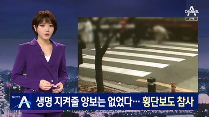 생명 지켜줄 양보는 없었다…신호등 없는 횡단보도 참사
