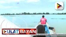 P474-M halaga ng pinsala sa agrikultura, naitala sa Bulacan; mga magsasaka, dumiskarte muna para sa pamilya