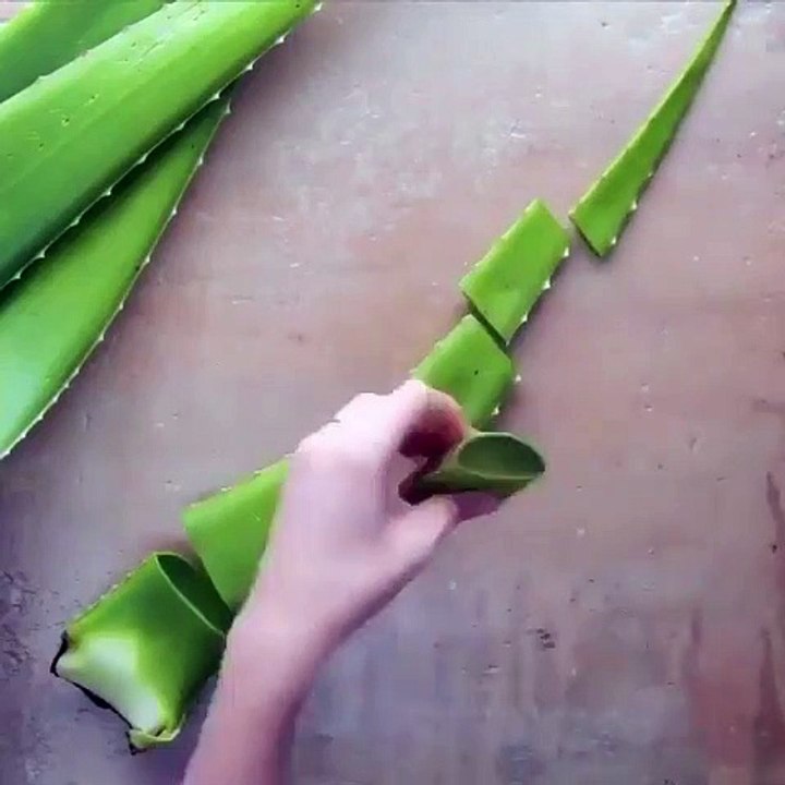 Do it YourSelf Videos 289