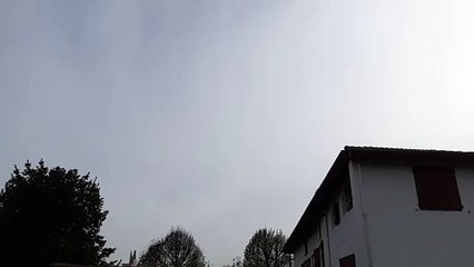 Passage des grues en Pays Basque