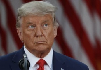Trump Admin Cuts off Emergency Lending Programs, Overruling Fed Chair
