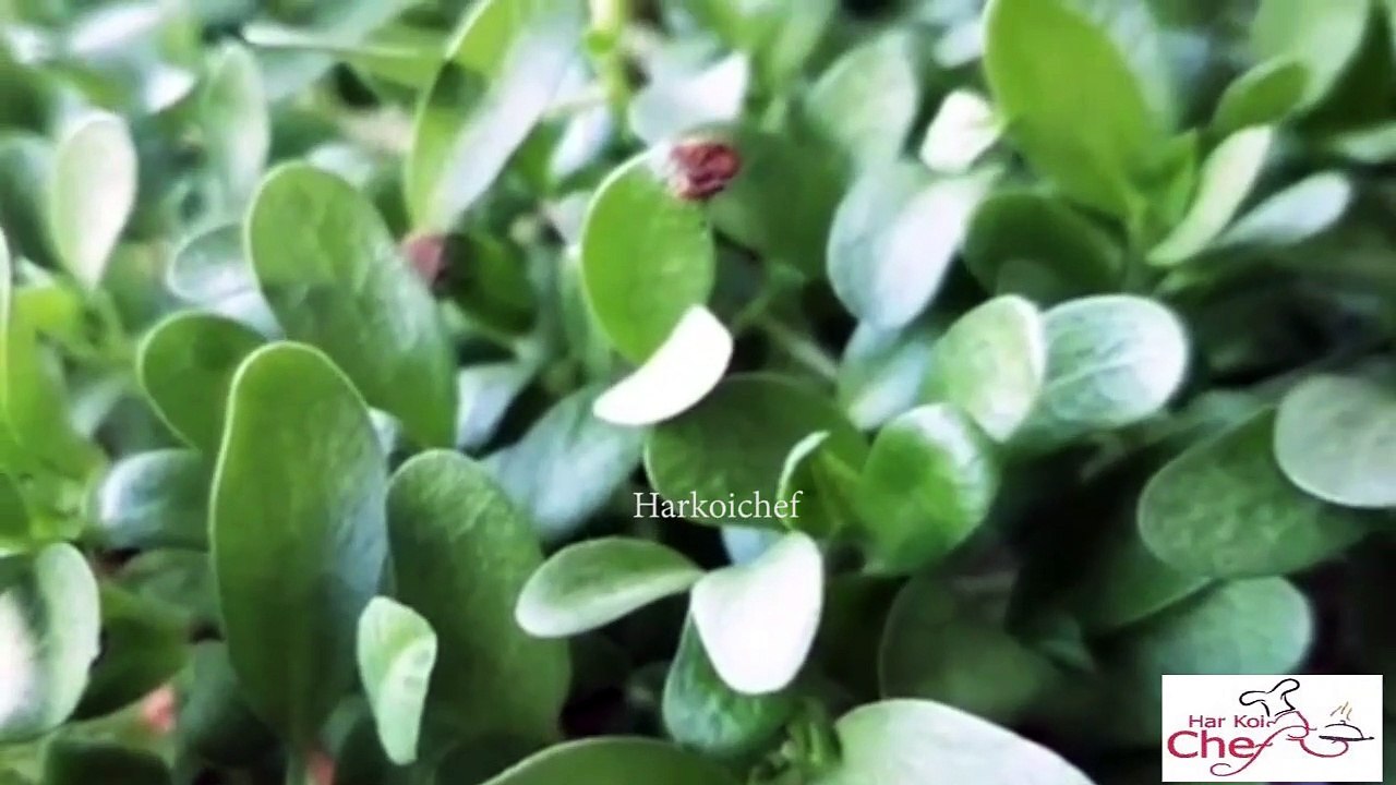 मेथी के पराठे की रेसिपी | Crispy Bread made from Fenugreek leaves