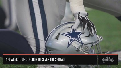 NFL Week 11 Underdogs: Which Teams Will Cover The Spread