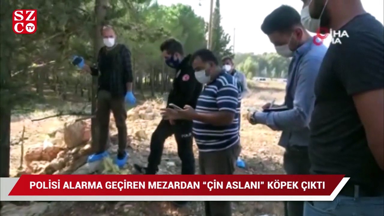 Polisi alarma geçiren mezardan köpek leşi çıktı