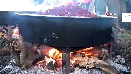 Rüyasında Gördü, 13 Bin Hünnap Ağacı Fidanı Dikti, 600 Ton Üretim Yaptı