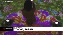 فيديو لعرض فني تركيبي: بتلات تنفخ في طوكيو وتصل سنغافورة