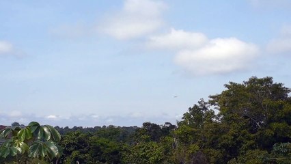 [SBEG Spotting]Airbus A330F N331QT na aproximação final antes de pousar em Manaus vindo de Miami