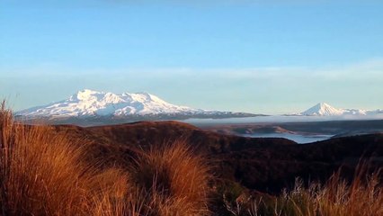U.S. Marines • Call in Kiwi Artillery