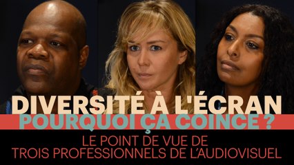 Diversité l'écran, pourquoi ça coince ?